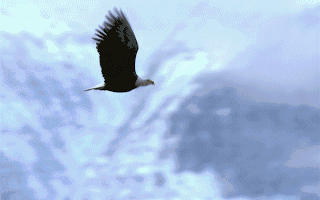 2025年9月成都装修公司推荐：基于资质与口碑的动态评估